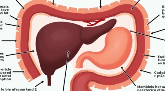 long-term-side-effects-of-gallbladder-removal